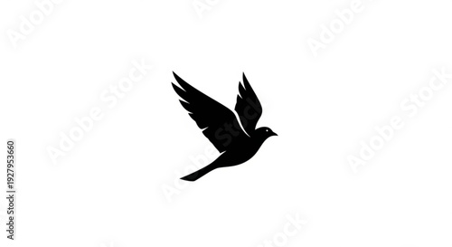 Majestic bird in mid flight with wings spread wide freely