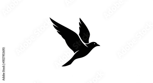 Bird in flight with wings spread wide in mid air