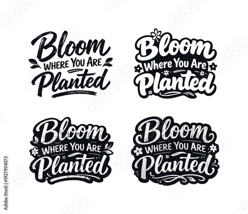 Bloom Where You Are Planted. Set lettering. 4 harmonious lettering variations of the same emblematic concept,