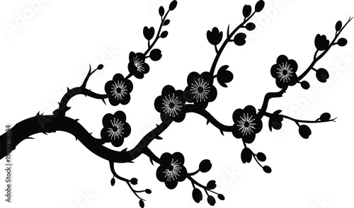 Black silhouette of a blooming cherry blossom tree branch with flowers and leaves