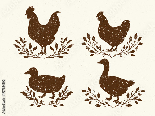 Hand-drawn poultry vector collection in rustic farmhouse style with textured silhouettes, featuring chicken, rooster, goose, and duck. Decorative botanical accents, country theme, isolated elements