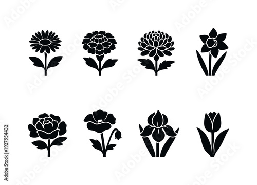 Botanical birth flowers. Filled icon set of Botanical birth flowers: aster flower, marigold flower,