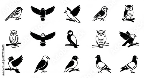 Collection of Bird Silhouettes