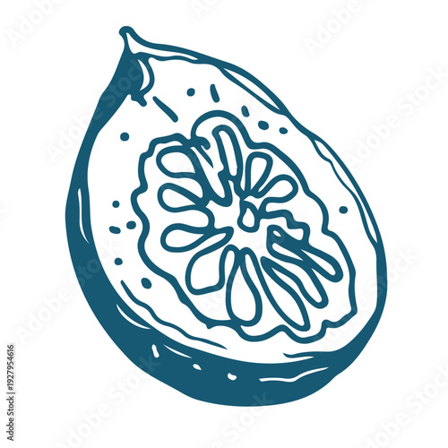 Hand drawn sketch illustration of half a passion fruit. Vintage mediterranian blue style.