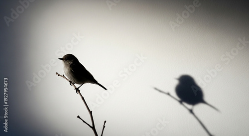 Bird perched on branch with silhouette companion against bright background
