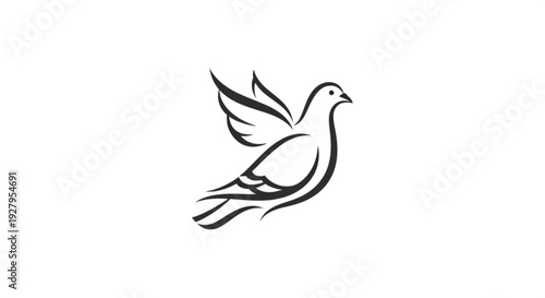 Elegant dove in flight with outstretched wings
