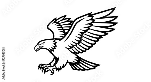 Black and White Eagle Illustration.