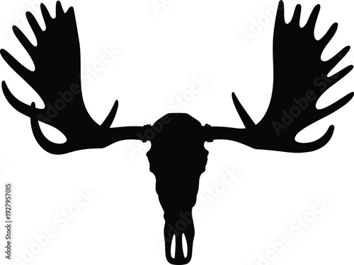Vector, Illustration, of, Moose, Skull, Silhouette, with, Antlers, for, Hunting, Identity, Branding, Professional, Graphic, Design, Projects, Collection, Elements, Nature, Wildlife, Animal, Horn