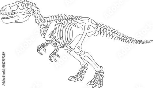 T Rex Skeleton Dinosaur Coloring Page Fossil Outline Vector Illustration for Kids