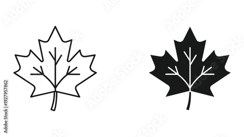 Maple leaf icon set, silhouette and outline, simple vector illustration on white background
