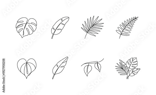 "Tropical Leaves". Minimalistic set one-line drawing monstera leaf, banana leaf, palm branch, fern frond,