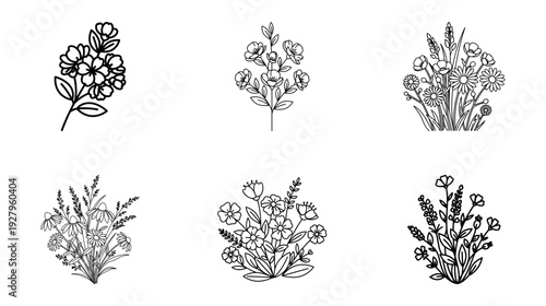 Black and white floral illustrations set