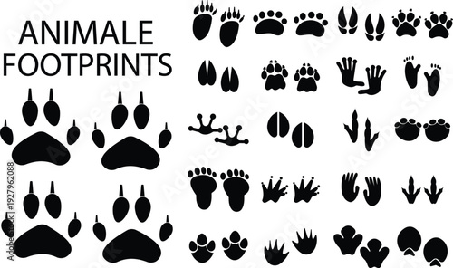 Animal footprints icon set collection, paw print, wild animal track and pet footprint symbols in solid and outline style vector isolated on transparent background for wildlife and education design