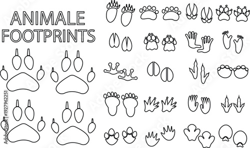 Animal footprints icon set collection, paw print, wild animal track and pet footprint symbols in solid and outline style vector isolated on transparent background for wildlife and education design