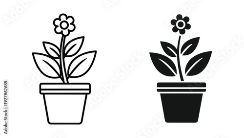 Simple flower pots with blooming flowers in black and white