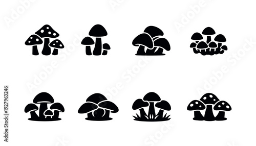 Floral wreath and decorative frame collection with botanical leaves and ornamental circular designs