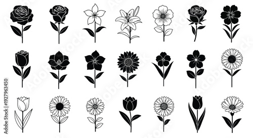 Collection of various black floral designs and botanical illustrations silhouette