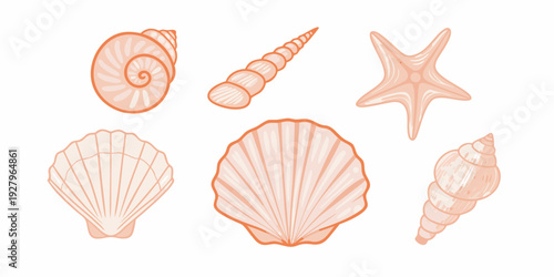 A collection of pastel orange seashells and a starfish illustration