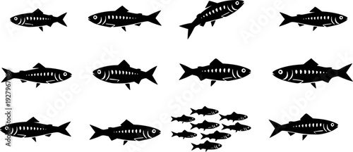 Set of Minimalist black sardine seafood silhouette vector icon
