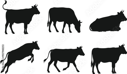 Cow silhouette collection set, different cattle poses standing grazing lying jumping walking farm animal vector illustration isolated
