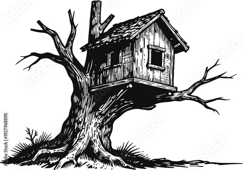 Rustic treehouse perched on large old tree with sprawling branches and roots