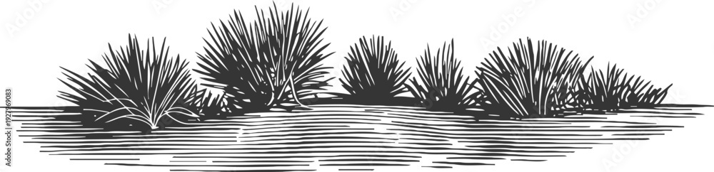 Fototapeta premium Group of wild grass and desert plants illustration with textured ground and natural environment