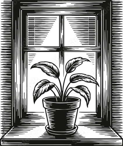 Potted plant with large leaves on window sill in black and white vintage engraving illustration