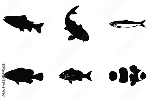 Black fish silhouette set features various aquatic species from ocean and river habitats including salmon trout and tropical clownfish icons isolated on white background for marine nature projects