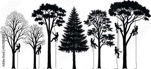 Arborist tree trimming silhouettes, professional climbers cutting branches on tall forest trees vector illustration isolated on white background