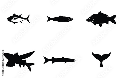 Aquatic species silhouettes featuring tuna carp and flying fish along with whale tail icon for professional marine life graphics and seafood restaurant branding assets isolated on white background