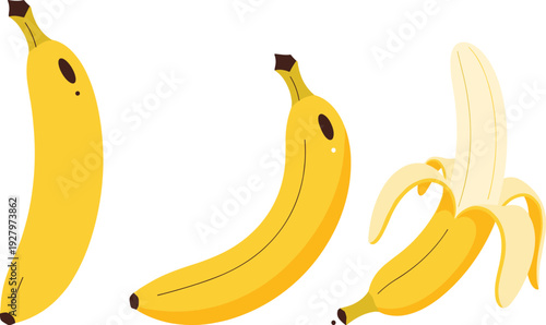 Banana fruit vector set, whole and peeled yellow bananas isolated on white background healthy tropical food illustration