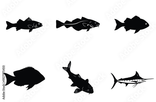 Assortment of fish and aquatic creature silhouettes including cod snapper grouper and marlin in black and white vector graphics perfect for seafood and ocean themes
