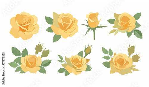 Fotografie Watercolor yellow rose flower clipart collection on white background