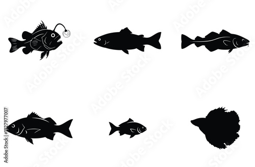Selection of black fish silhouettes depicting anglerfish cod salmon betta fish and flounder for oceanographic and marine biology themed projects