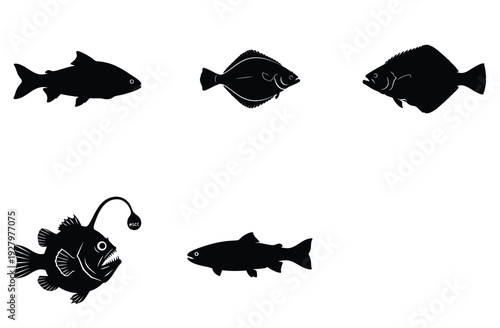 Assorted black silhouettes of fish including cod flounder anglerfish salmon and a unique abstract fish shape for aquatic and marine themes