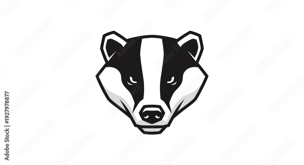 Obraz premium Badger Face Closeup Illustration.