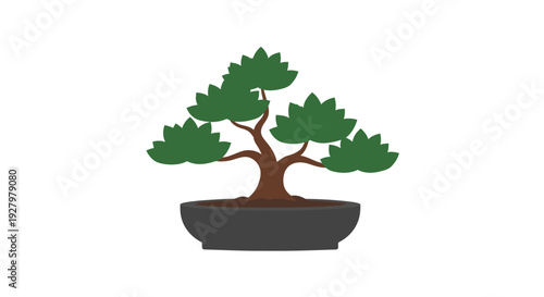 Bonsai Tree in Pot.