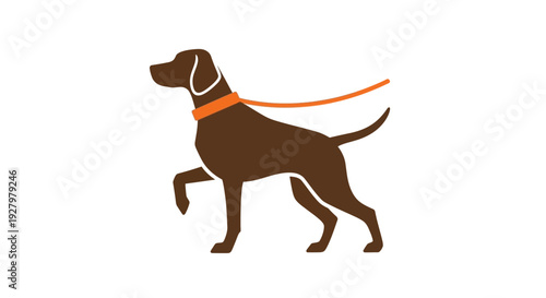 Brown Dog on Leash.