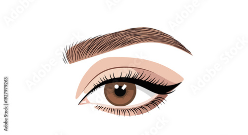 Brown Eye Makeup Closeup.