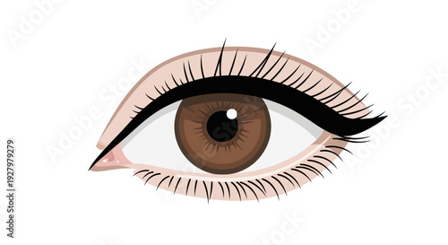 Brown Eye with Makeup.