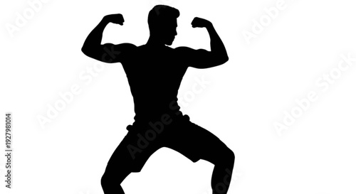 Silhouette of a person in a martial arts pose against a white background