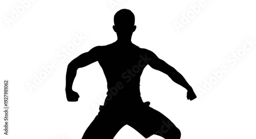Silhouette of a person in a dynamic martial arts pose