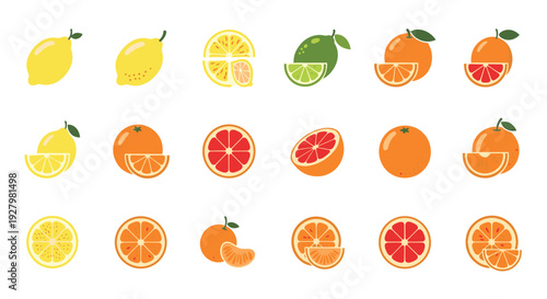 Eighteen distinct citrus fruits, featuring whole and sliced lemons, limes, oranges, and grapefruits, are meticulously arranged in a grid on a plain white background.