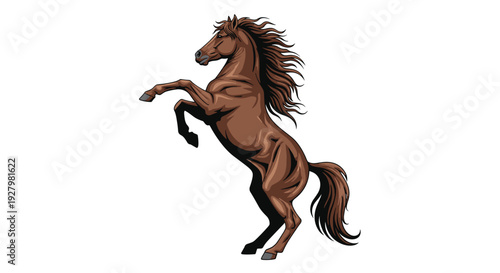 A powerful brown horse with a flowing mane and tail rears up on its hind legs against a plain white background.