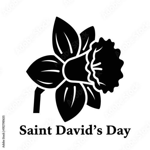 Black and White Daffodil Illustration Saint Davids Day.