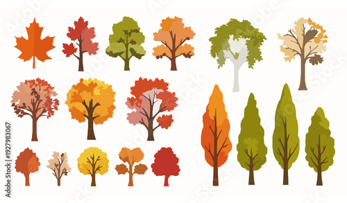 Colorful autumn trees vector collection with fall foliage design elements isolated on white background