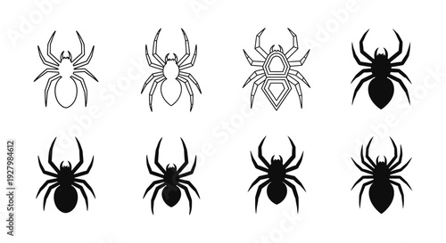 A comprehensive set of eight graphic spider icons in both detailed outline and solid black silhouette forms.
