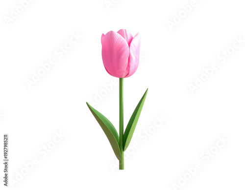 Pink tulip flower 3d illustration on transparent background with green stem and leaves isolated icon