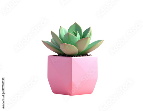 Potted succulent plant in pink pot, home decor, green leaves, modern design