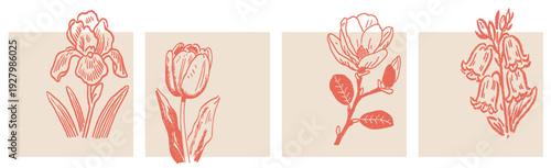 Hand drawn spring flower doodles and botanical sketches for floral design and garden concepts